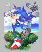 1boy ? absurdres amy_rose animal_ears animal_nose blue_fur bush cameo cloud dandelion flower furry furry_male gloves grass green_eyes hedgehog_boy highres holding holding_sign knuckles_the_echidna koco_(sonic) male_focus r131q red_shoes sage_(sonic) shoes short_tail sign sky solo sonic_(series) sonic_frontiers sonic_the_hedgehog standing tail tails_(sonic) white_gloves rating:g score:4 post #10082359