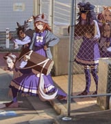 6+girls absurdres ahoge animal_ears beanie blush bow bowtie brown_hair colored_bangs commentary double_v dream_journey_(umamusume) fenomeno_(umamusume) gold_ship_(umamusume) grey_hair grey_jacket hashtag-only_commentary hat high_school_girls_posing_for_google_street_view_(meme) highres hood hood_down hooded_jacket horse_ears horse_girl horse_tail jacket loafers log long_hair long_sleeves looking_at_viewer lucky_lilac_(umamusume) meme multiple_girls nakayama_festa_(umamusume) open_clothes open_jacket orfevre_(umamusume) peaked_cap photo_background pleated_skirt purple_shirt purple_skirt purple_thighhighs school_uniform shirt shoes siblings sisters skirt stay_gold_(umamusume) stay_gold_clan_(umamusume) symbol-only_commentary tail thighhighs tracen_school_uniform umagamja umamusume v white_bow white_bowtie rating:g score:88 post #10013785
